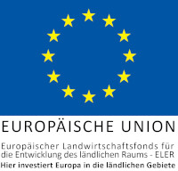 EU Logo