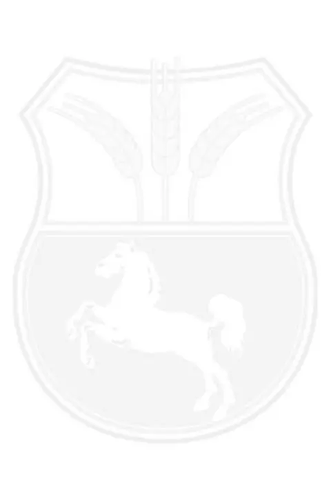 mitarbeiterdummy